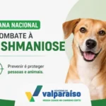 SEMANA NACIONAL DE COMBATE À LEISHMANIOSE REFORÇA CUIDADOS CONTRA A DOENÇA